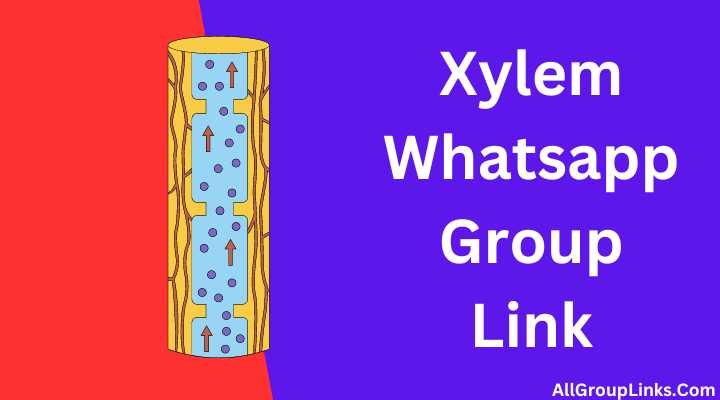 Xylem Whatsapp Group Link